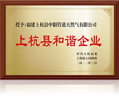 获得中海石油福建新能源有限公司授予的“2016年度最佳管理奖”